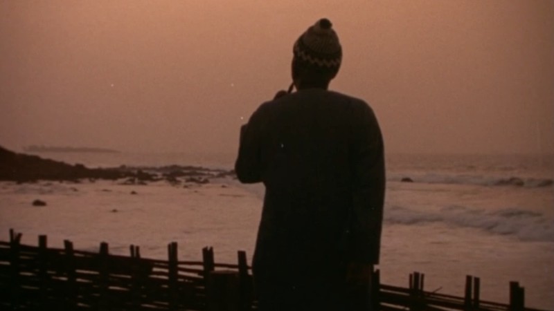 Sembène: The Making of African Cinema