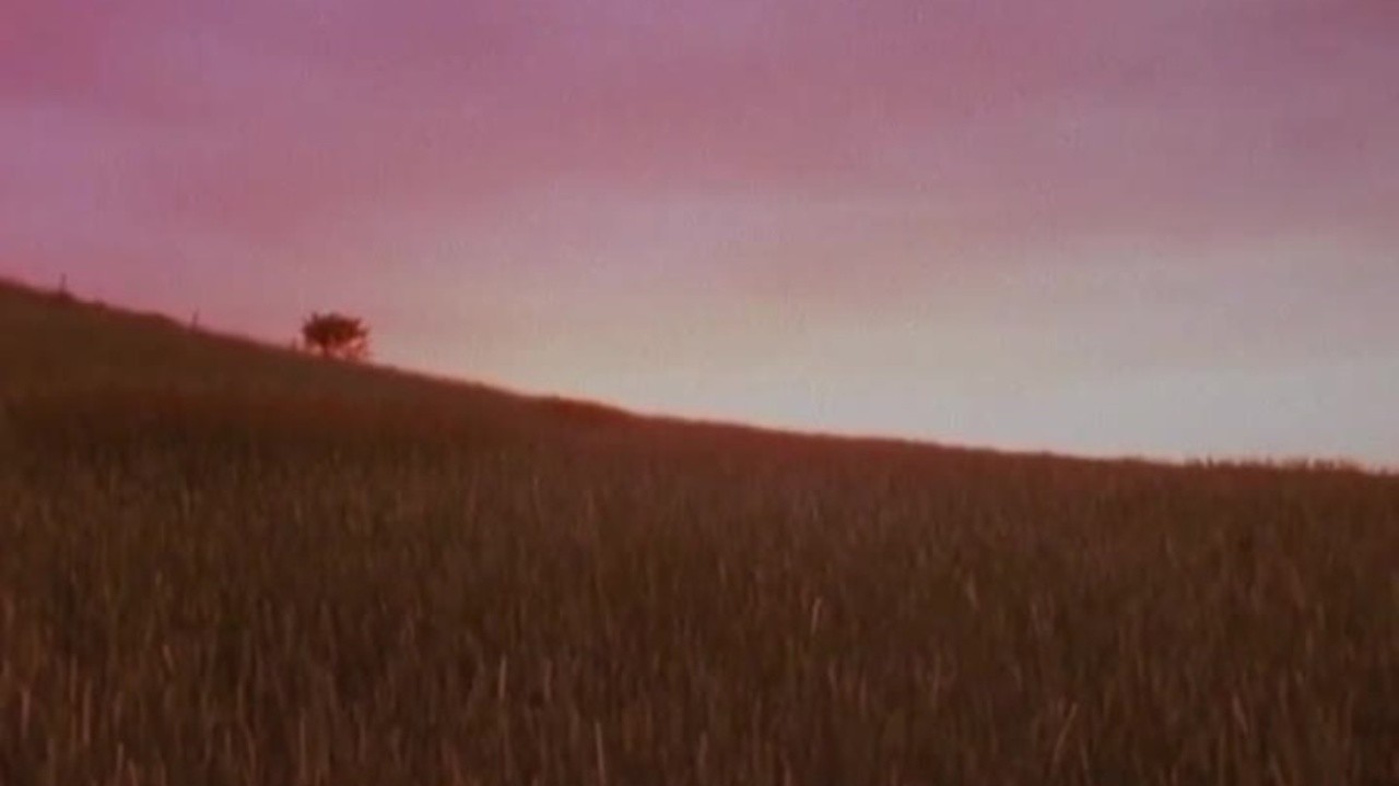 Horizons