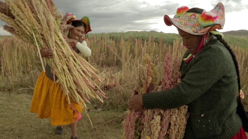 Mothers of the Land