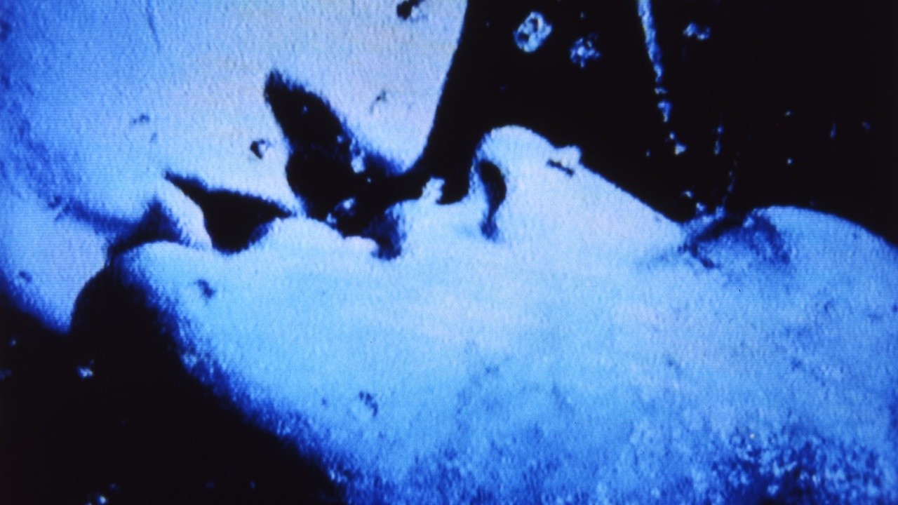 Self-Portrait in 23 Rounds: A Chapter in David Wojnarowicz's Life, 1989-1991