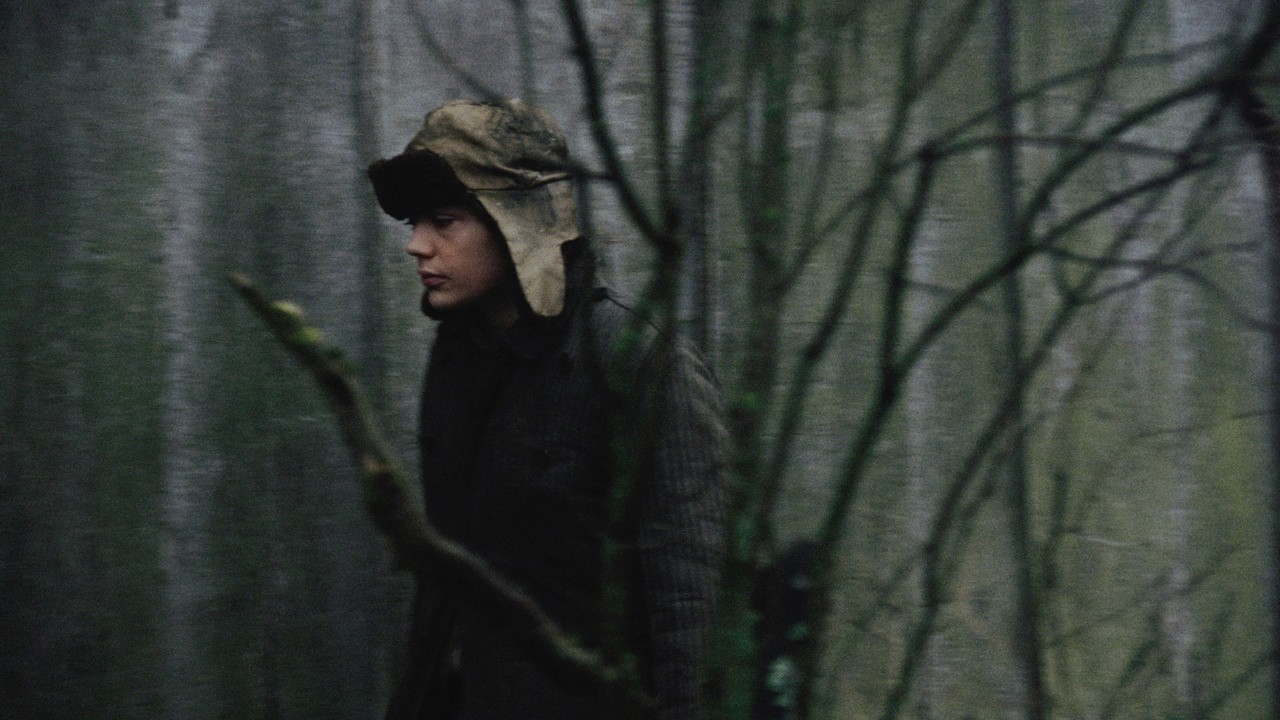 In the Dusk