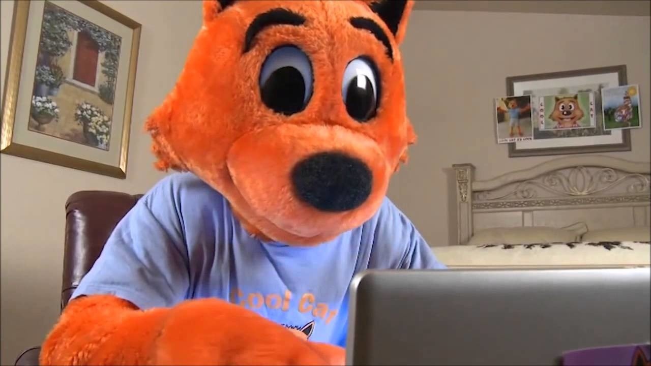 cool cat stops a school shooting