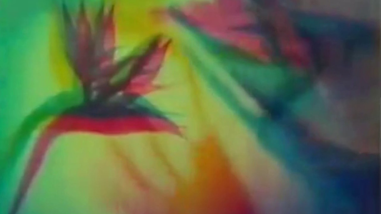 The Psychedelic Experience