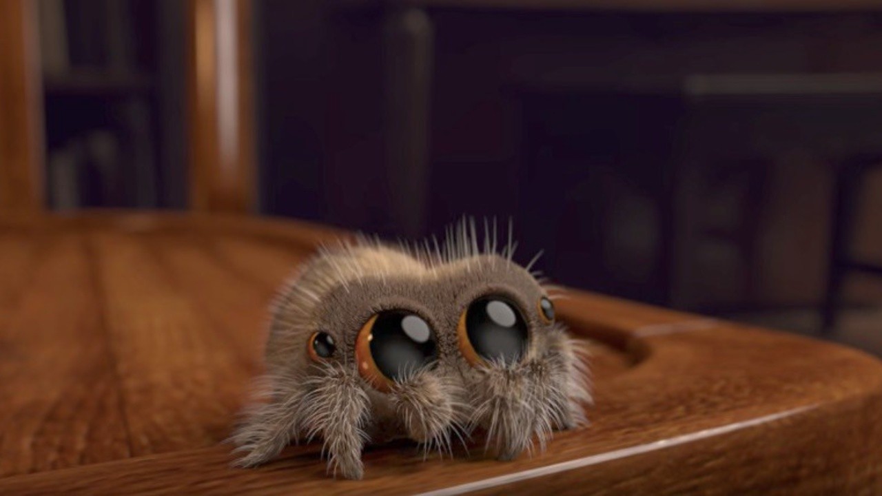 Lucas the Spider