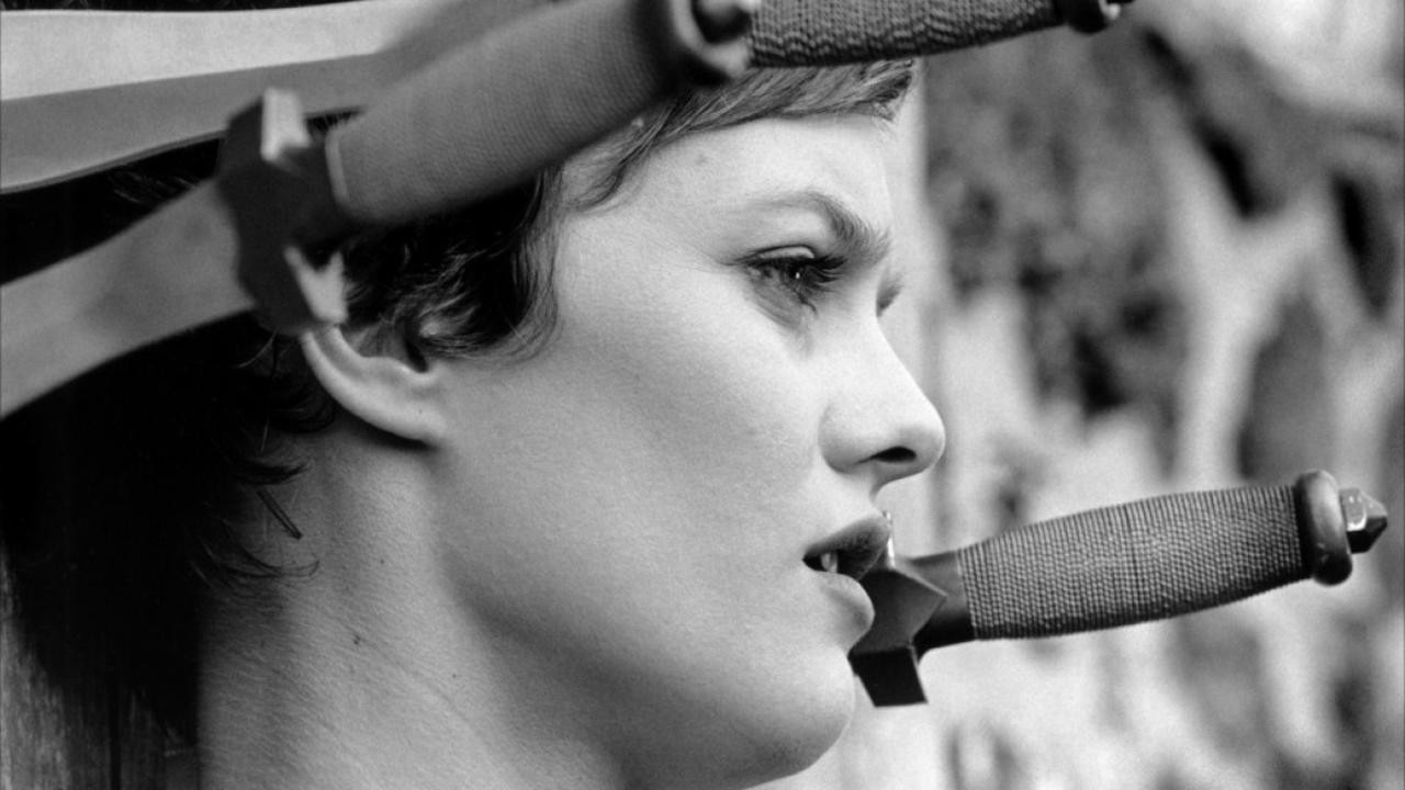 Image du film La Fille sur le Pont