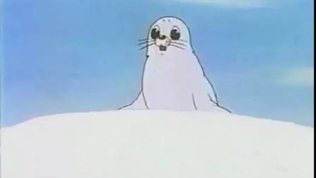 Bibifoc