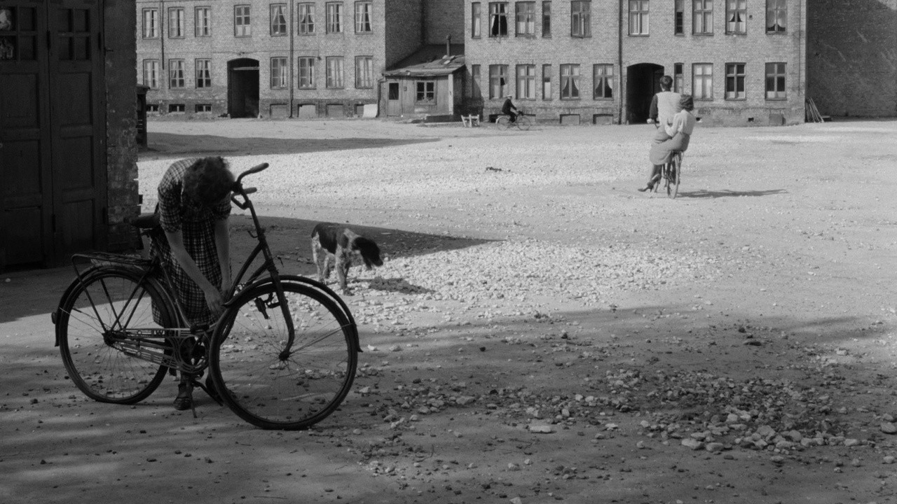 Image du film Le Quartier du corbeau