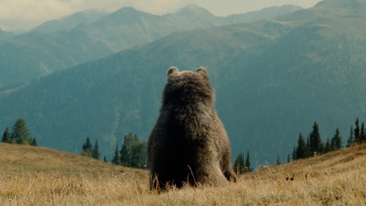 Image du film L'Ours