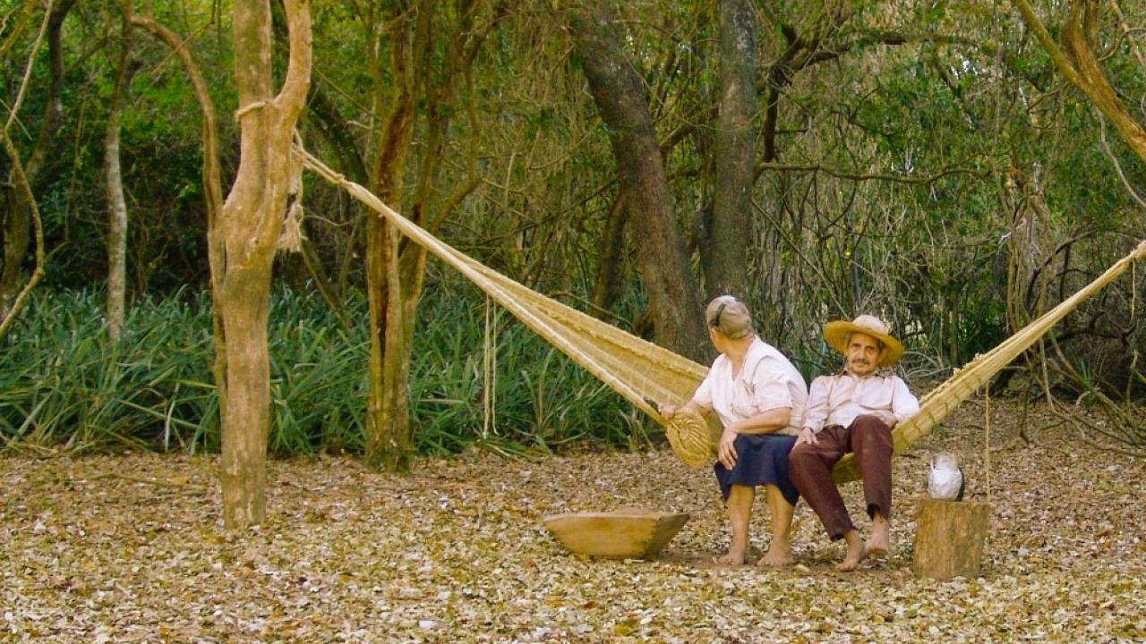 Paraguayan Hammock