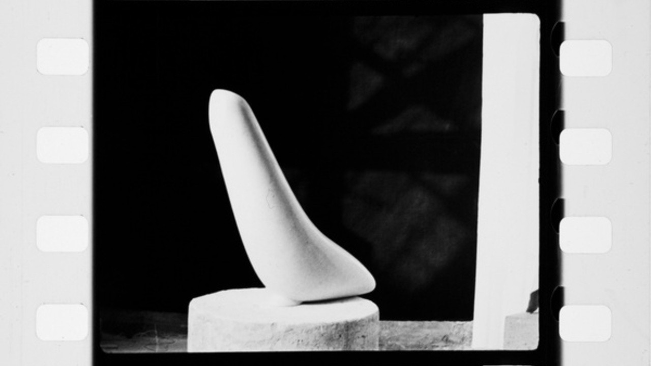 Brancusi Filmed