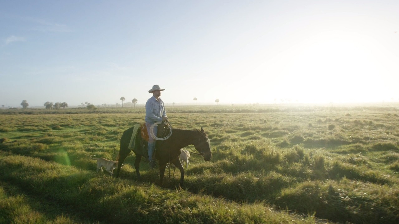 Cowboys & Scientists