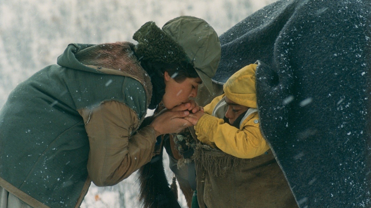 Image du film Un Temps pour l'ivresse des chevaux