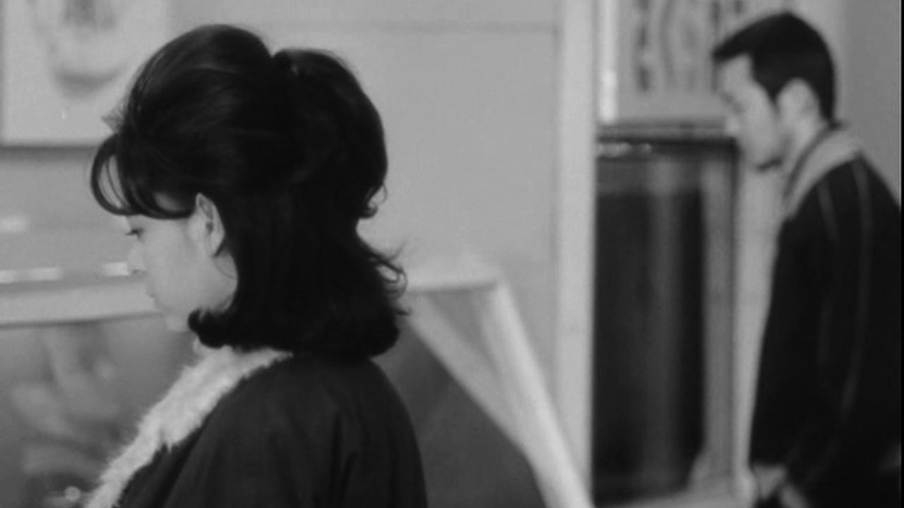 Image du film White Morning