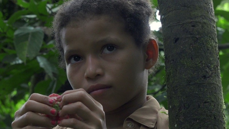 Understory (2019) | MUBI