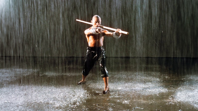 The 36th Chamber of Shaolin