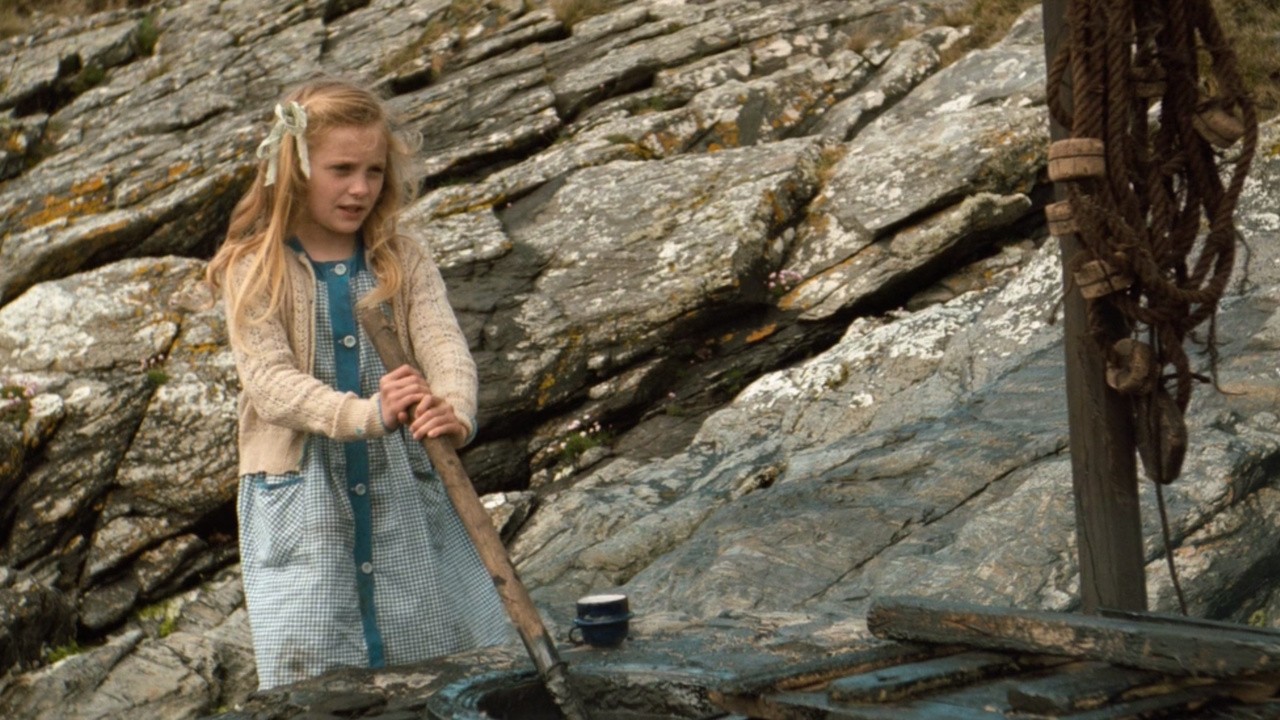 Image du film Le secret de Roan Inish