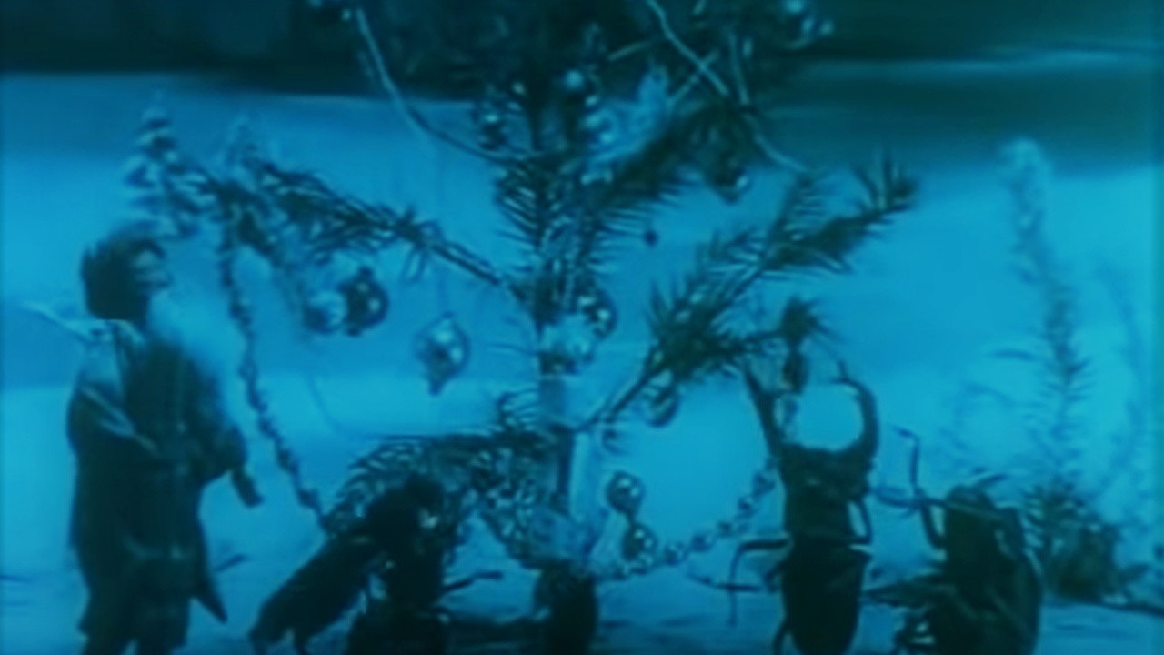 The Insect's Christmas