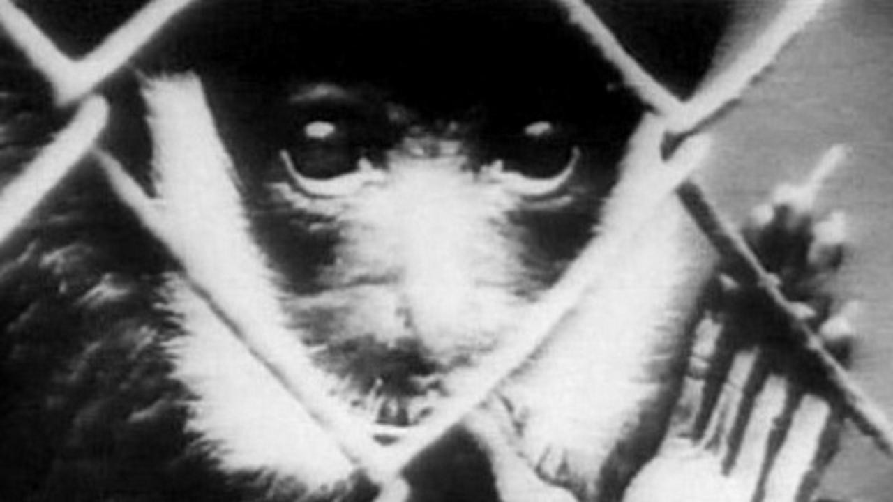 Inhabitants