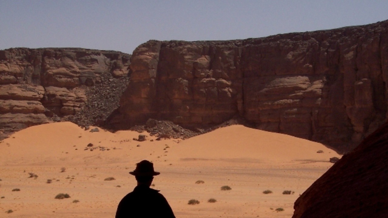 Saharan Diary 2012 Mubi