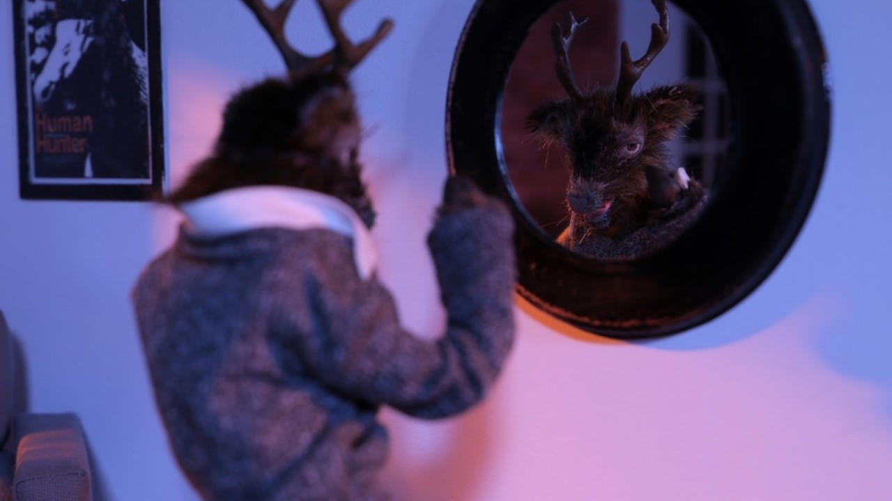 Roadkill