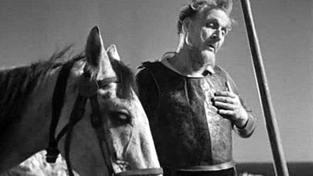 Adventures of Don Quixote