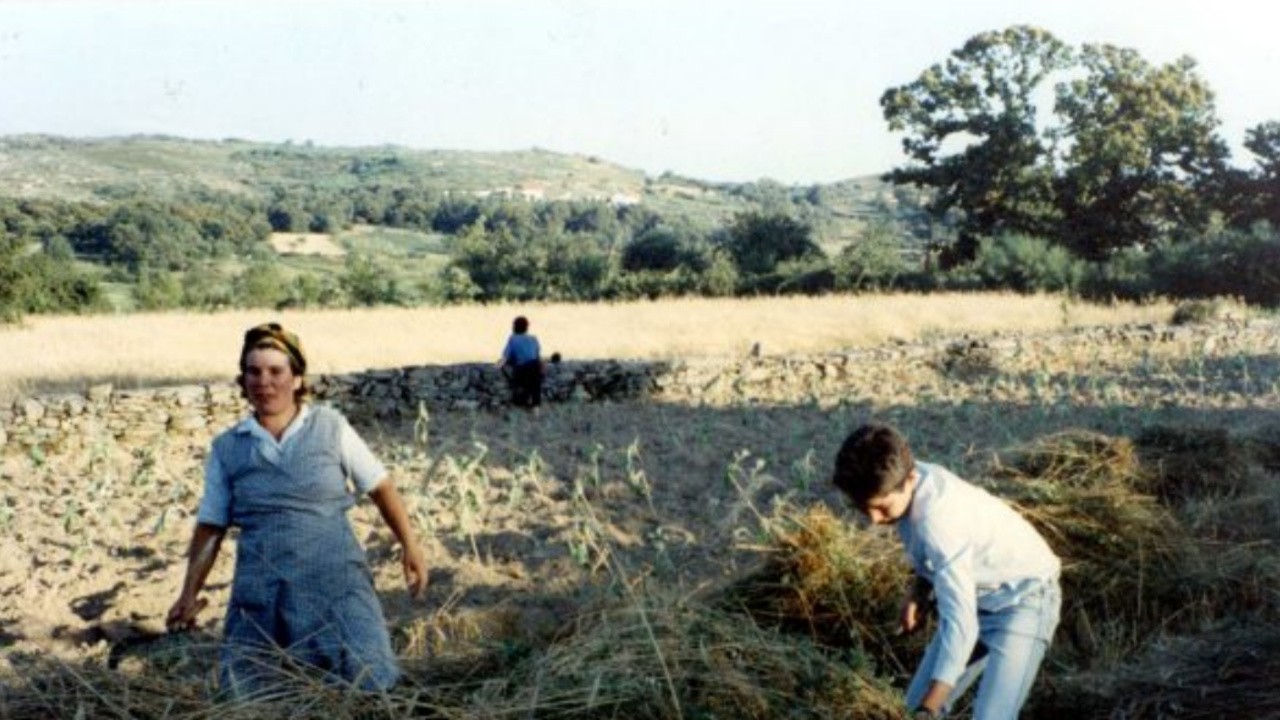 April's Land