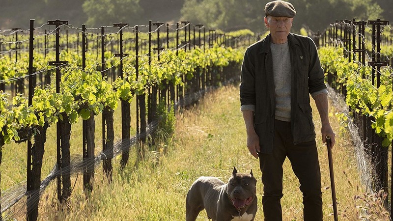 Star Trek: Picard