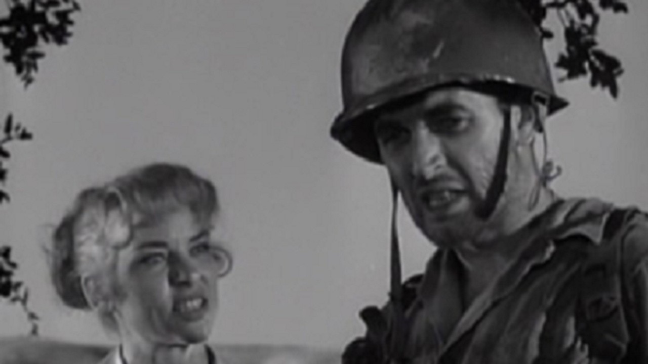 Operation Dames