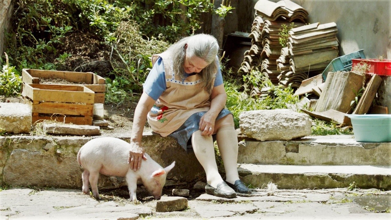 Image du film Cría puercos
