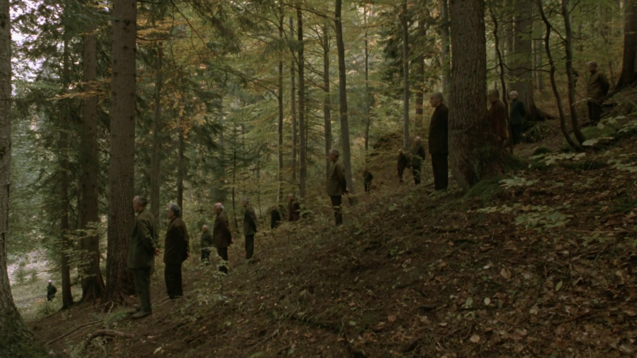 The Secret of the Old Woods