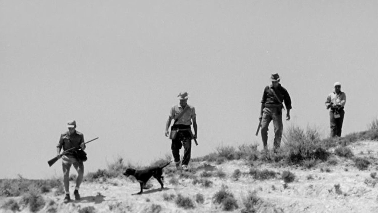 The Hunt