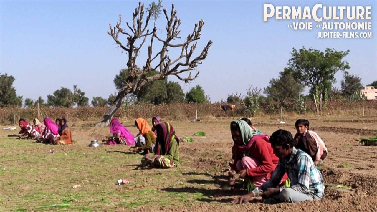 Image du film Permaculture, la voie de l'Autonomie
