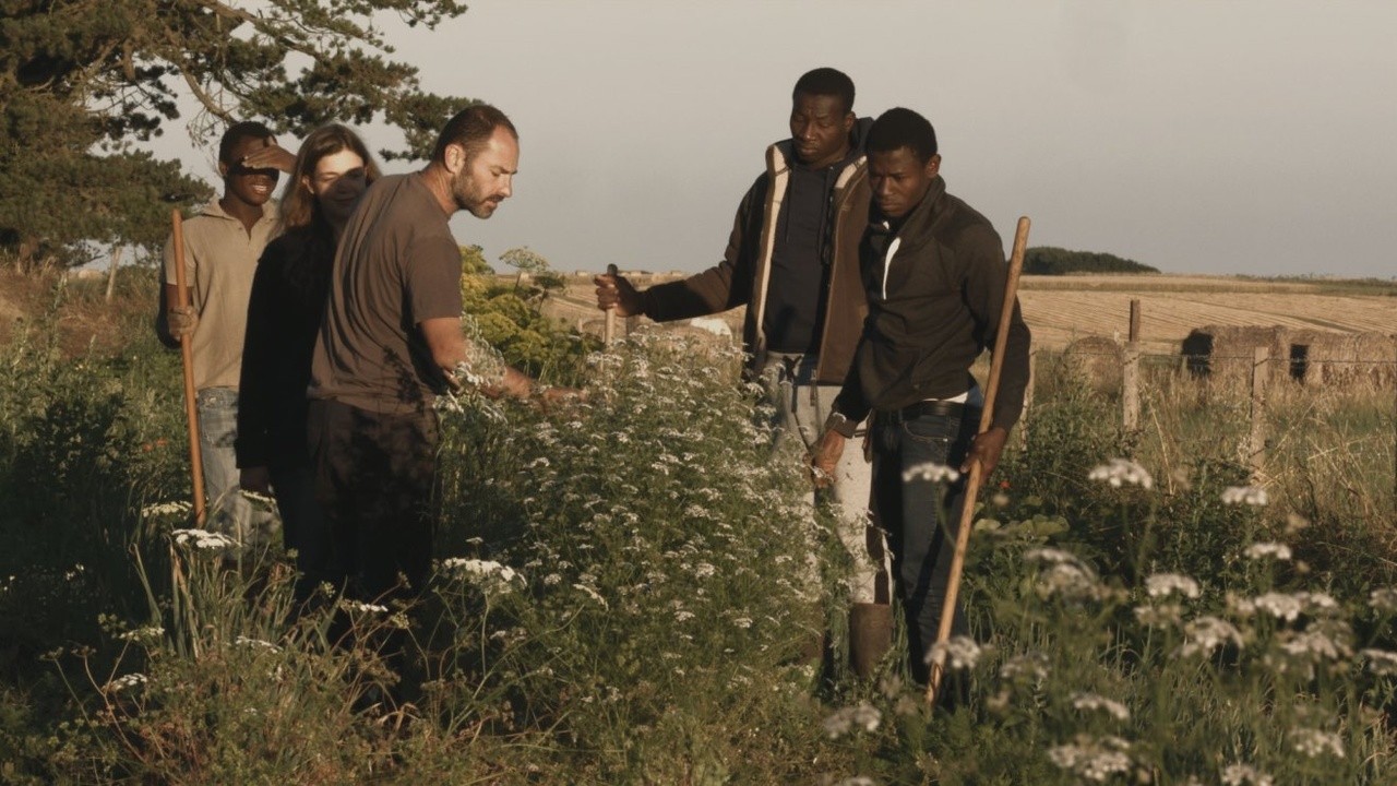 Image du film Le Bel été