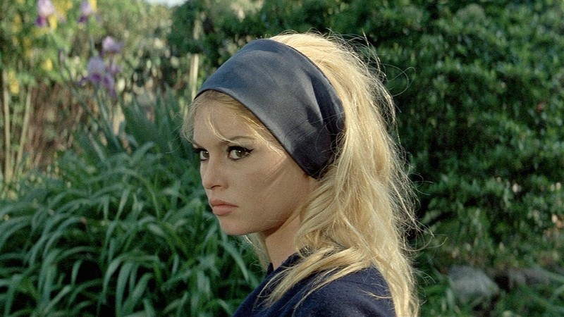 Contempt