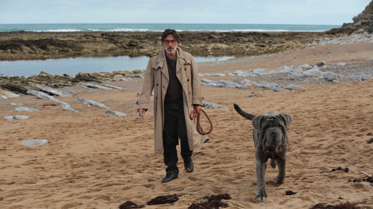 Image du film Mon chien stupide