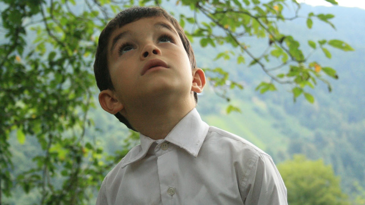 Image du film Miel