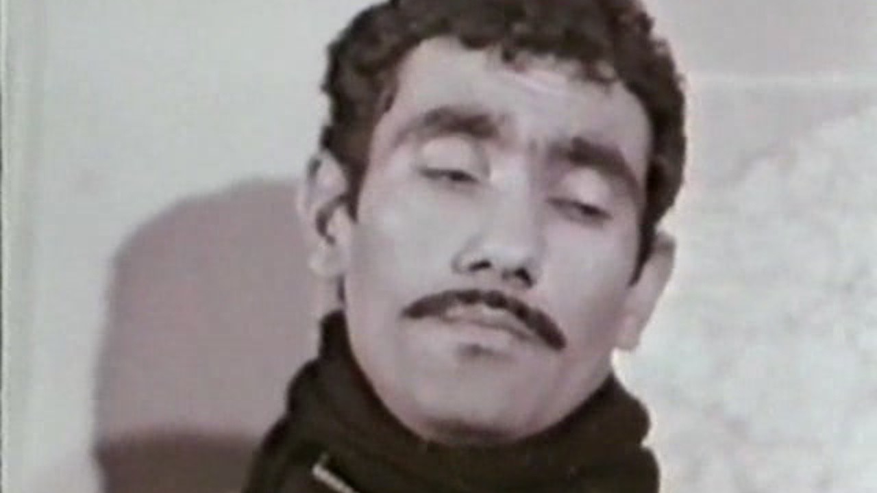 Horse, Woman and Gun