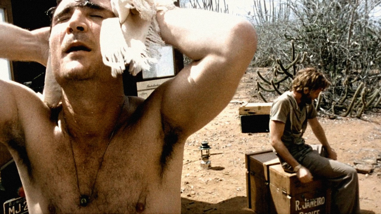 Cinema, Aspirins and Vultures