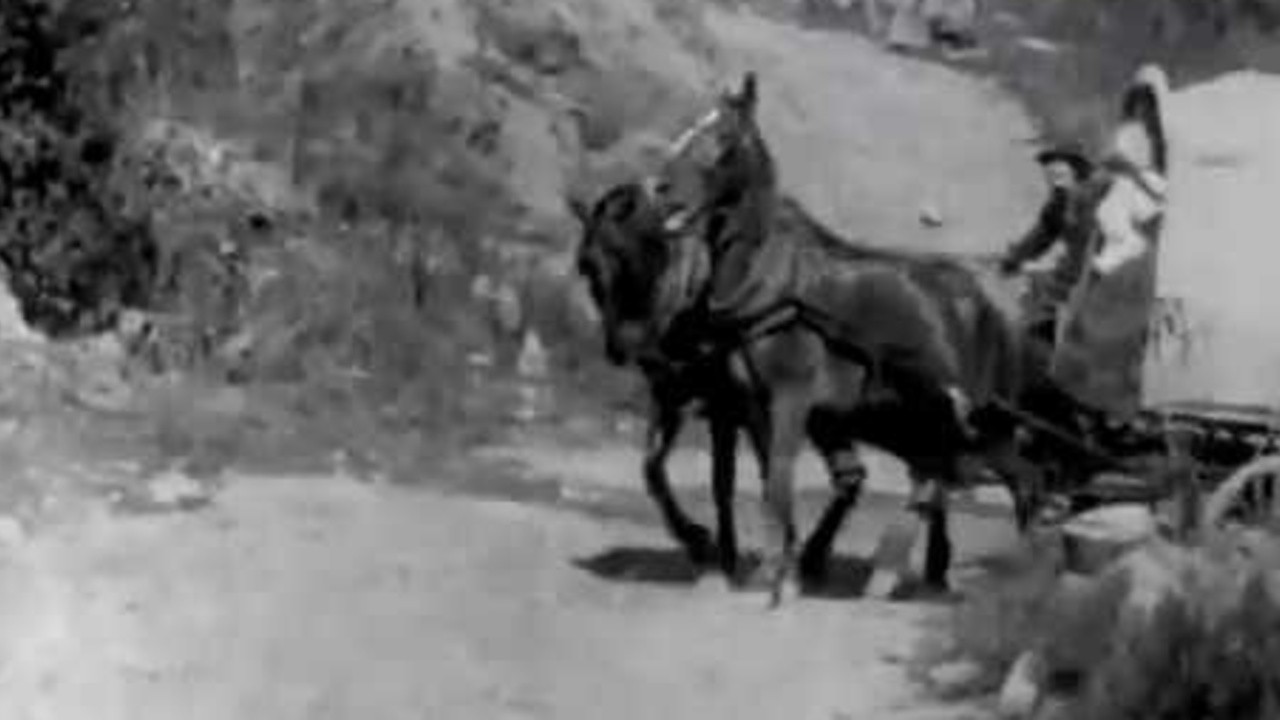 The Zulu's Heart (1908) | MUBI