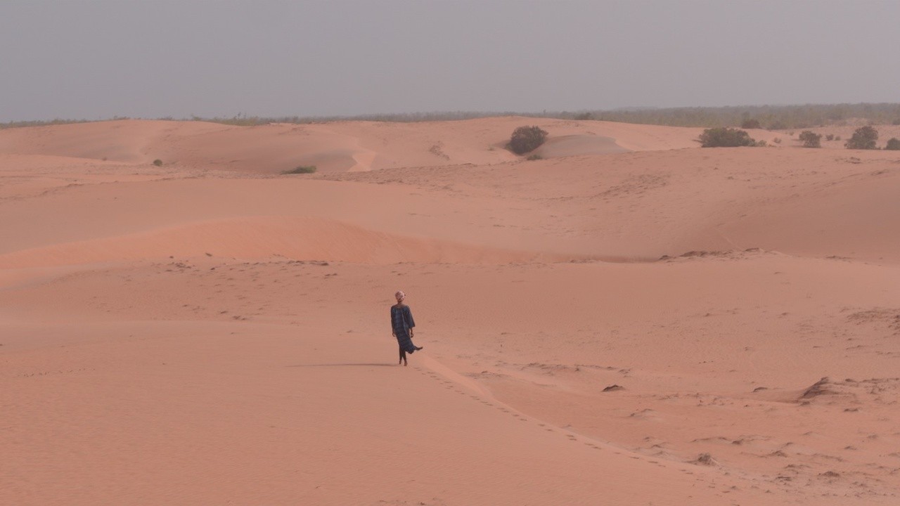 Image du film The Great Green Wall