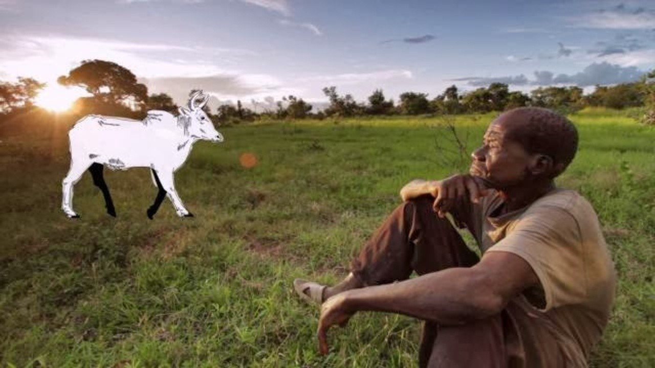 If I Had a Cow