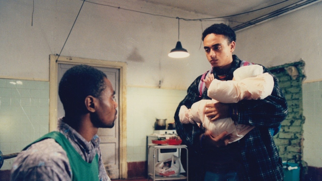 The Apartment
