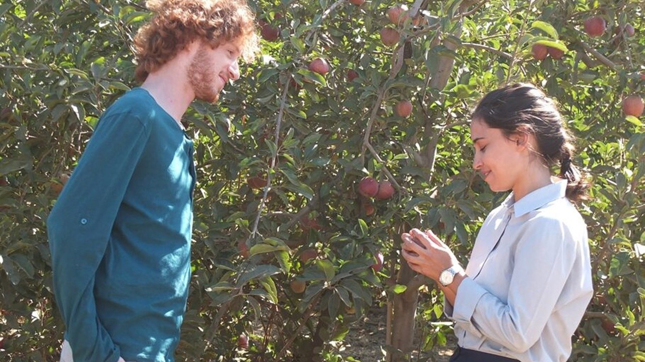 Apples From the Desert