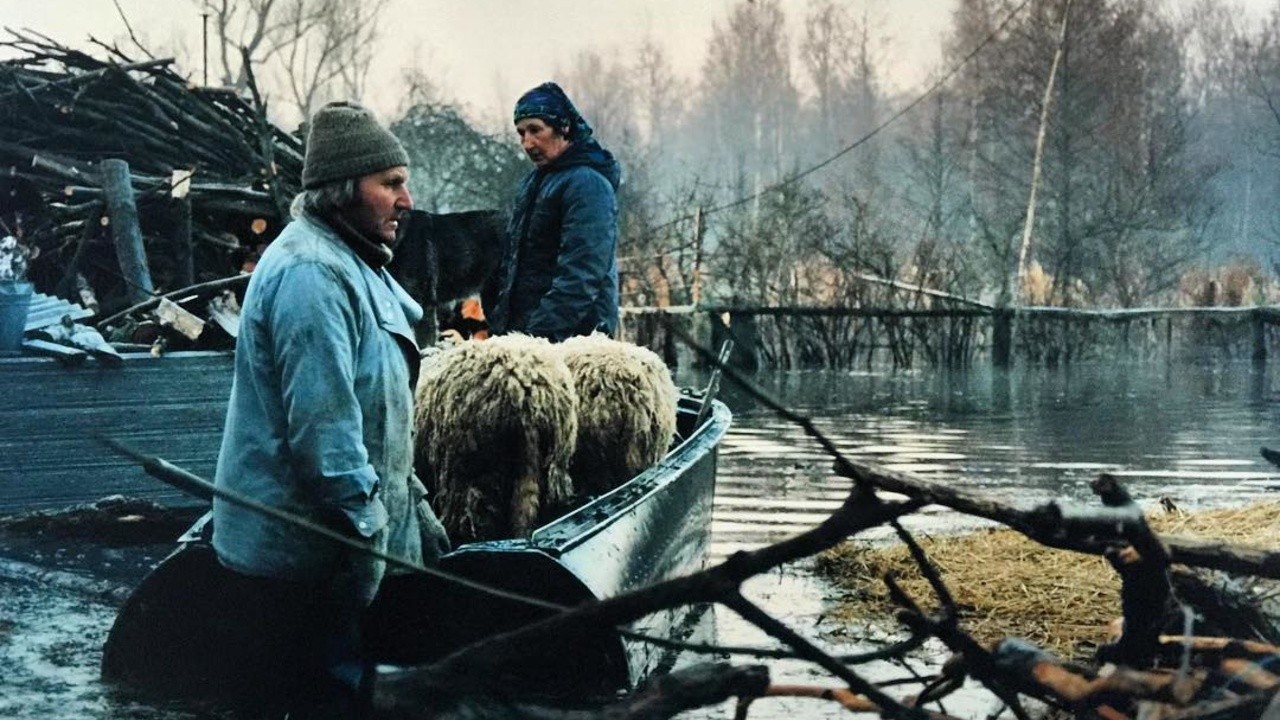 The Spring (1997) | MUBI