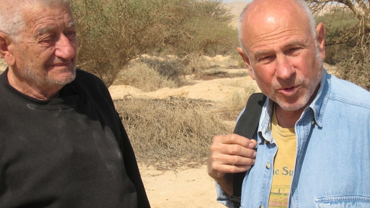 Sam Rothstein Desert To the Desert (2016) | MUBI