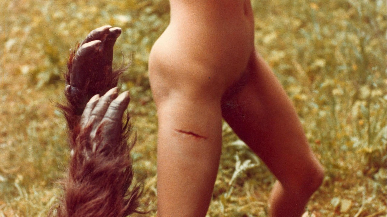 Image du film La Bête