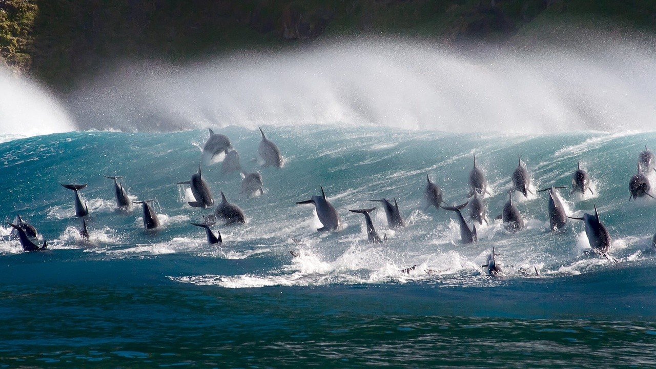 Oceans: Our Blue Planet