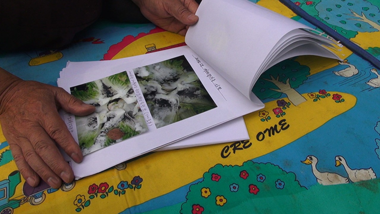 The People Next to Coal Power Plant