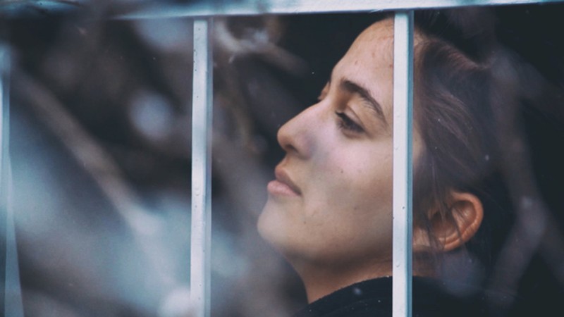 Beyond the Fence