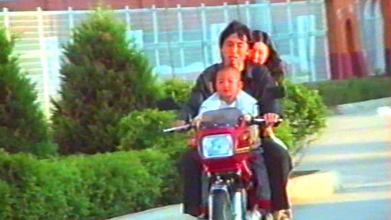 The Couple Is Not the Same Birds